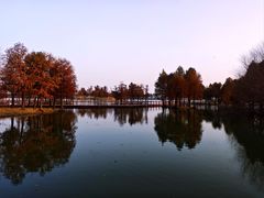 -贡湖湾湿地公园