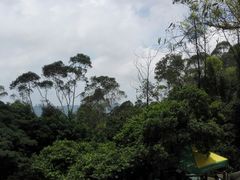 -火炉山森林公园