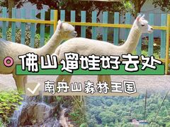 -南丹山森林王国