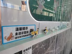 -pd派德宠物中心医院24H急重症·眼科中心·血液透析中心(嵩山北路店)