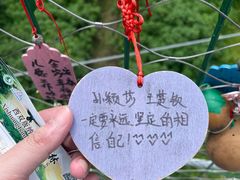 -西双版纳原始森林公园
