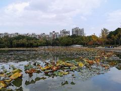 -新江湾城公园