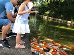 -珠海圆明新园