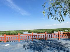 -包头南海湿地景区