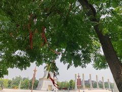 -兴隆文化园景区