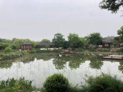 -鹅湖玫瑰文化园