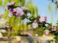-元大都城垣遗址公园