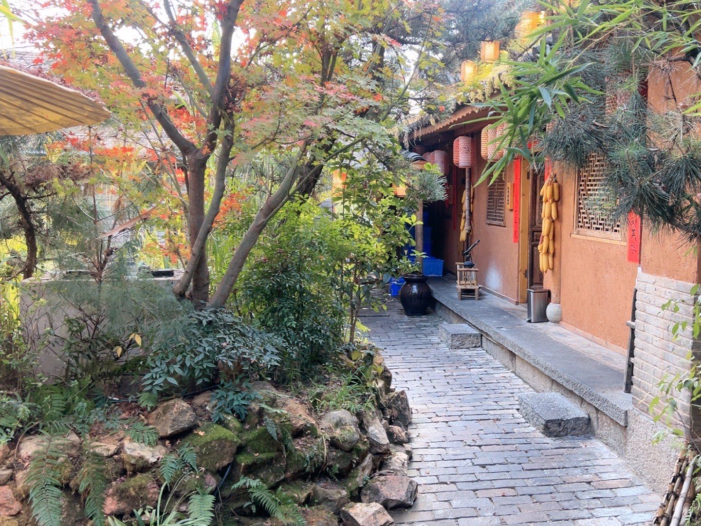 他们家的菜口味非常得好,分量很大,我来吃过很多次