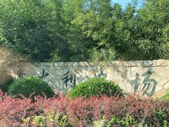 -意大利农场度假村