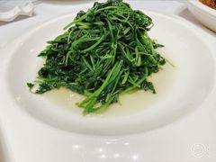 苋菜-乾隆美食·本帮菜(黄河路店)