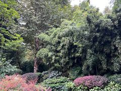 -望江楼公园