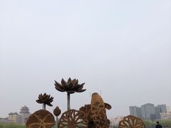-莲花池公园