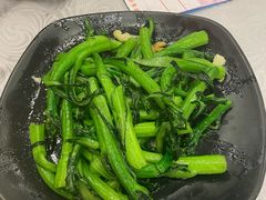 生炒连州菜心-粤·向群饭店(龙津东路总店)