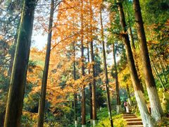 -莫干山风景区