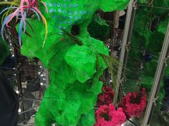 -湖南省地质博物馆