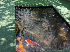 -Ohkajhu Organic Farm Sansai