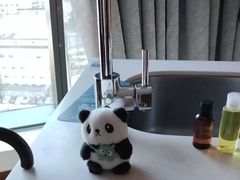 -成都雅诗阁来福士