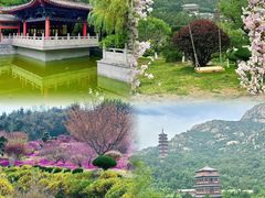 -石岛赤山风景区