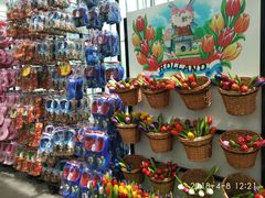 -上海鲜花港