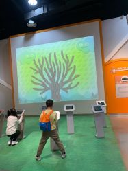 -北京科学中心儿童乐园