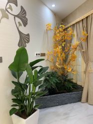 -芳朵美容养生SPA