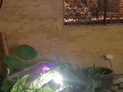 景观位-绿茶餐厅(华联万柳店)