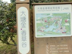 -大塘金香草谷