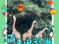 -广州长隆野生动物世界