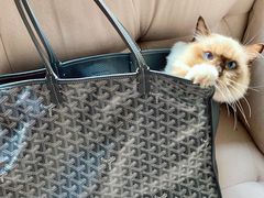 -Goyard 高雅德(国贸商城店)