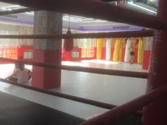 -津武堂散打搏击俱乐部(河西店)