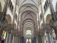 -上海佘山国家森林公园西佘山园