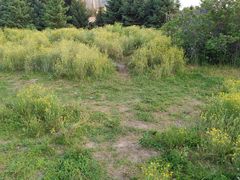 -长春公园(普阳街道)