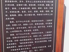 -绮园景区