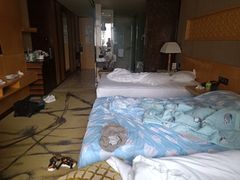 -西安赛瑞喜来登大酒店