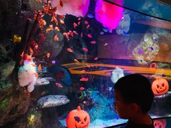 -沈阳海洋探索中心