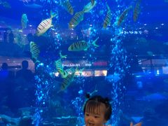 -成都浩海立方海洋公园