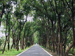 -同里国家湿地公园