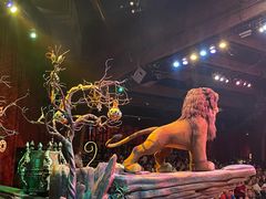 -奥兰多迪士尼动物王国乐园