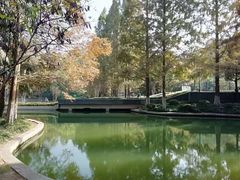 -环城公园-琥珀潭