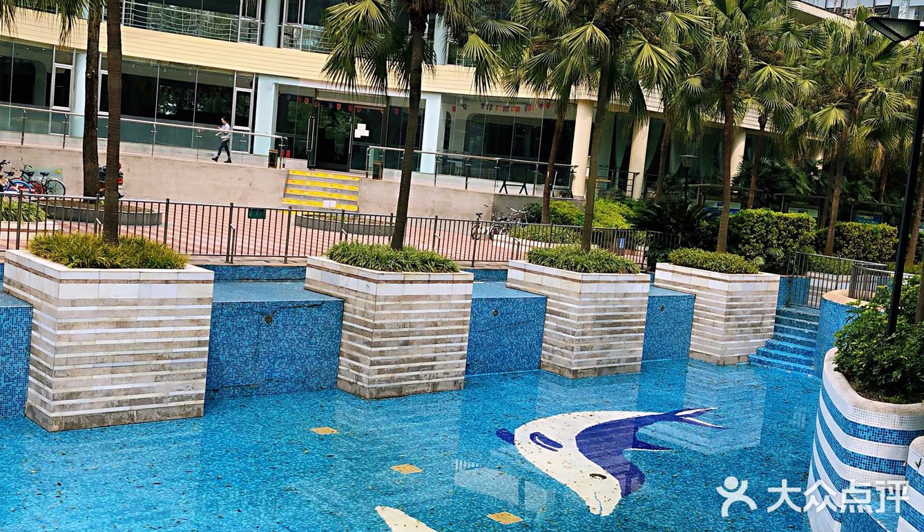 落地的杏花 妙龄的梨花