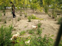 -兴芮温泉度假区