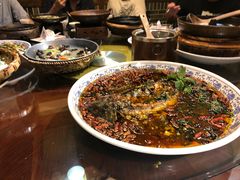 -杨记隆府(南坪店)