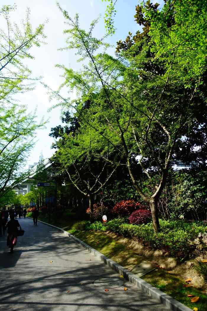 泾东公园-"[糖果][糖果]位置: 泾东公园位于浦东."-大众点评移动版