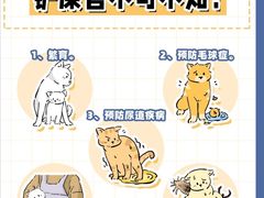 -北京观赏动物医院·24小时大型综合·猫专科·异宠专科