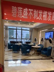 -碧莲盛·不剃发植发