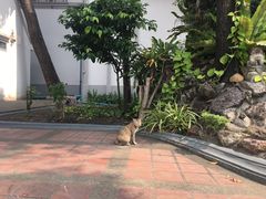 -曼谷国家博物馆
