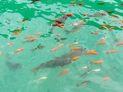 -山西通天峡景区