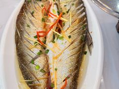 -源水鱼庄·翘嘴鲌店·老字号