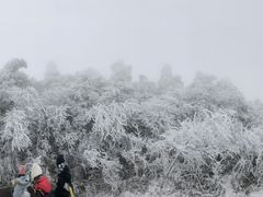 -南岳衡山风景名胜区