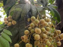 -南通洲际绿博园